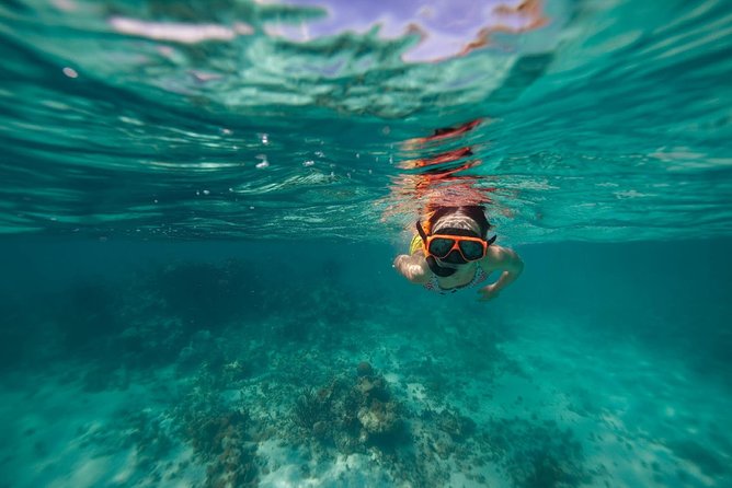 Catamaran and Snorkeling Cruise At Carlisle Bay - Snorkeling over a shallow shipwreck