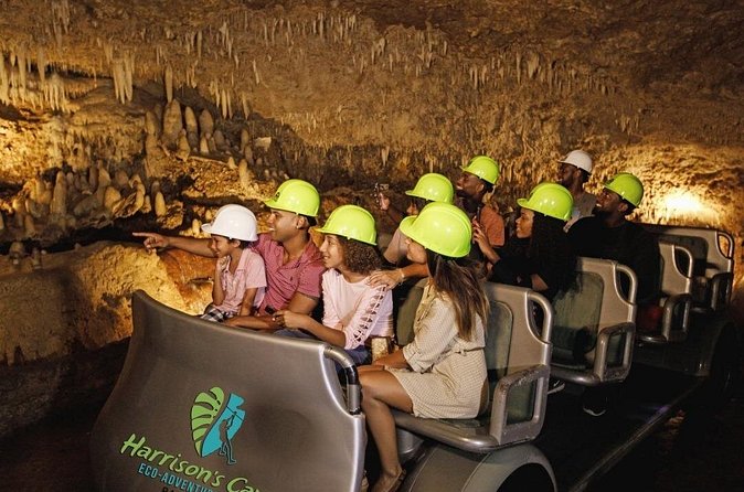 Cave & Monkey Zipline Experience at Harrison's Cave by Chukka - FAQ