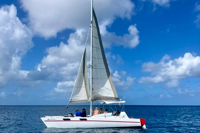 Che’s snorkel cruise! turtles & shipwrecks (semi private) - Second stop: shipwrecks, fish, and rays