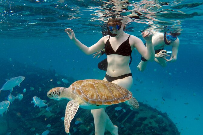Che’s snorkel cruise! turtles & shipwrecks (semi private) - Transport is useful, but read the fine print