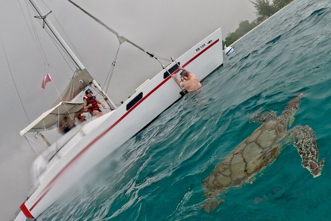 Che’s snorkel cruise! turtles & shipwrecks (semi private) - Who should book this snorkel cruise?