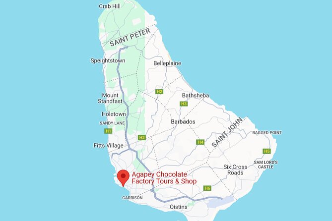 Chocolate Factory Tour in Barbados - Antique equipment, modern machines, and the working factory