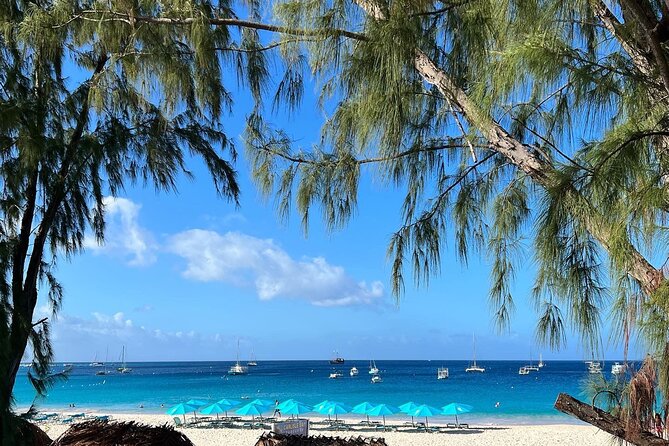 Cruise Passanger Beach day in Barbados with shuttle transfers - Pick a return shuttle before you unpack