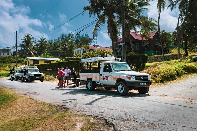 Discovery Safari - Why this safari works well in a short Barbados visit