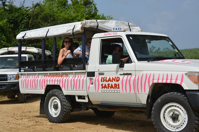 Discovery Safari - Bathsheba, rock formations, and sea air