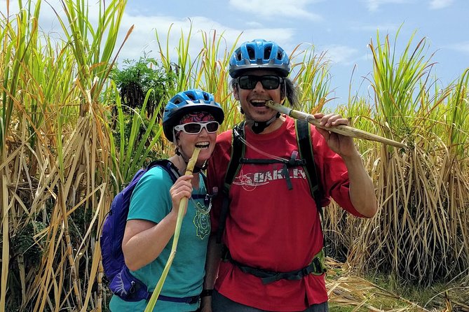 Electric Bike Bajan Sightseeing Experience (Transport Included) - Public roads, rough ground, and safety