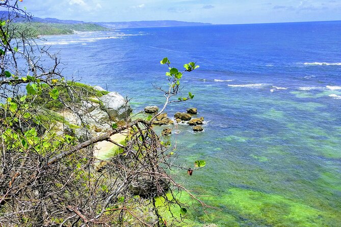 Electric Bike Bajan Sightseeing Experience (Transport Included) - What the $125 price includes