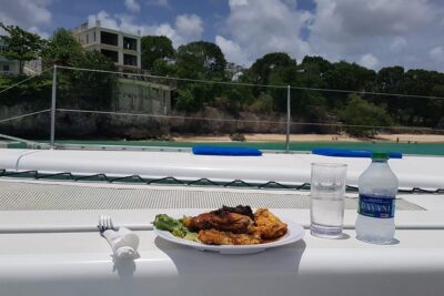 Elegance Catamaran turtles swim and lunch cruise