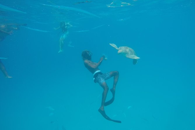 Elegance Catamaran turtles swim and lunch cruise - Weather, cancellations, and final booking advice