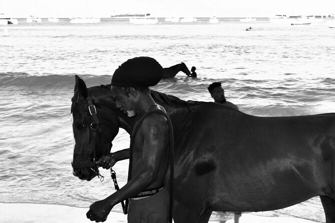 Experience the Swimming Horses at Carlisle Bay & the Garrison - Practical details that affect your decision
