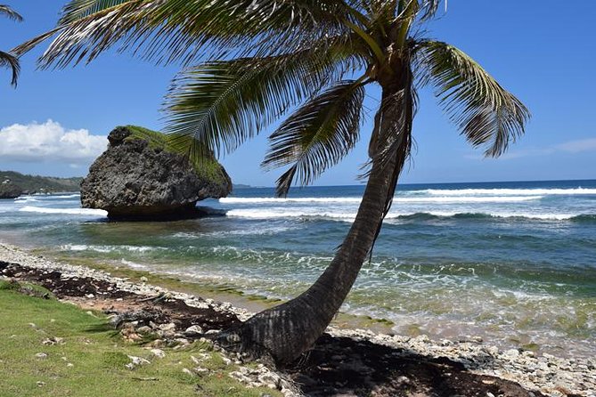 Explore and Discover Barbados By Land & By Sea - Key points to know before booking
