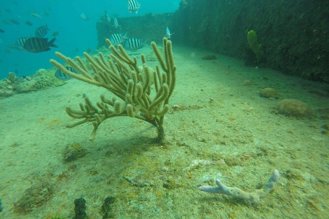 Explore and Discover Barbados By Land & By Sea - Carlisle Bay brings the day into the water