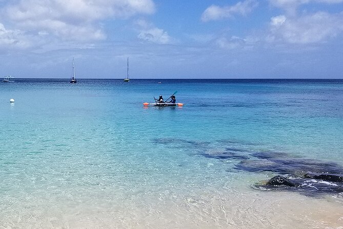 Folkestone Coral Reef Clear Kayak Tour - Key points to know before you book