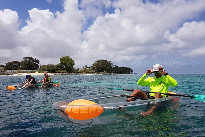 Folkestone Coral Reef Clear Kayak Tour - Why the clear kayak makes a difference