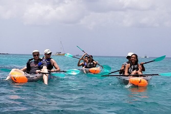 Folkestone Coral Reef Clear Kayak Tour - Price and value at $53.29