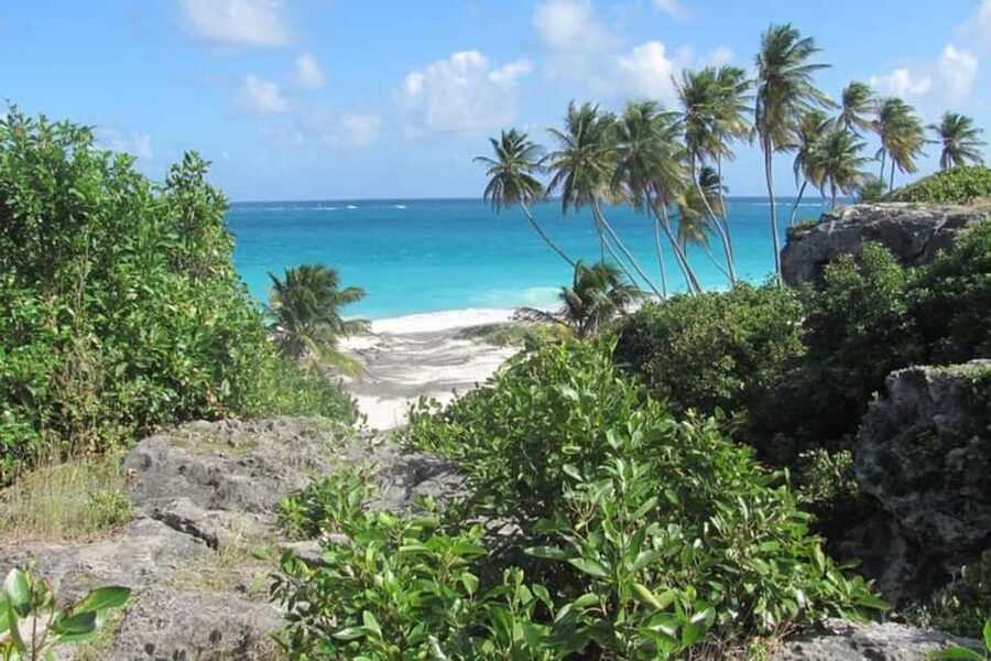 From Bridgetown: Barbados Coast To Coast Half-Day Tour - What this Barbados crossing really gives you