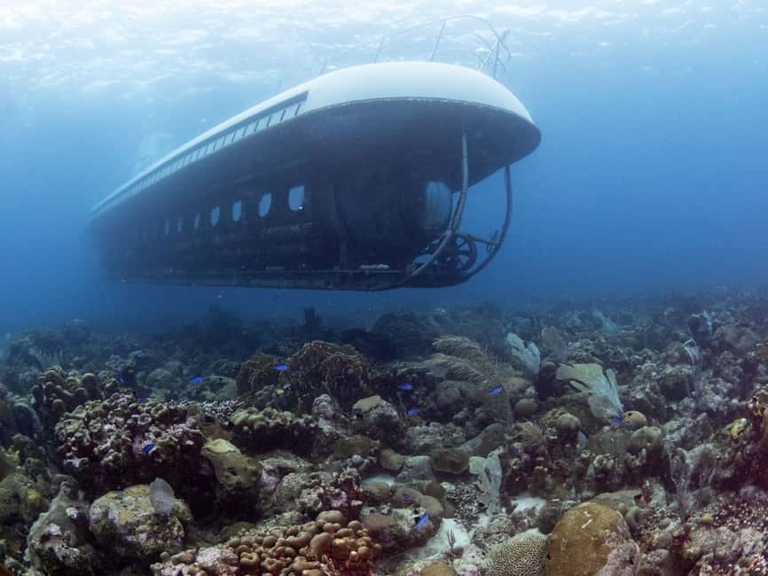 From Bridgetown: Scenic Boat and Submarine Tour - Key points at a glance