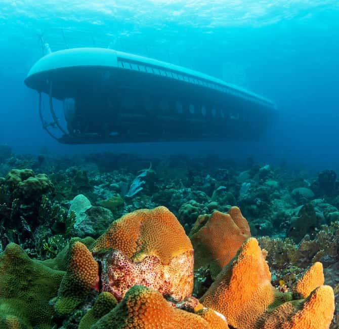 From Bridgetown: Scenic Boat and Submarine Tour - What the 40-minute underwater route offers