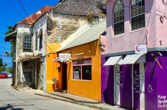 Full-Day Natural Heritage Tour in Barbados with Lunch - Barclays Park And The East Coast Drive