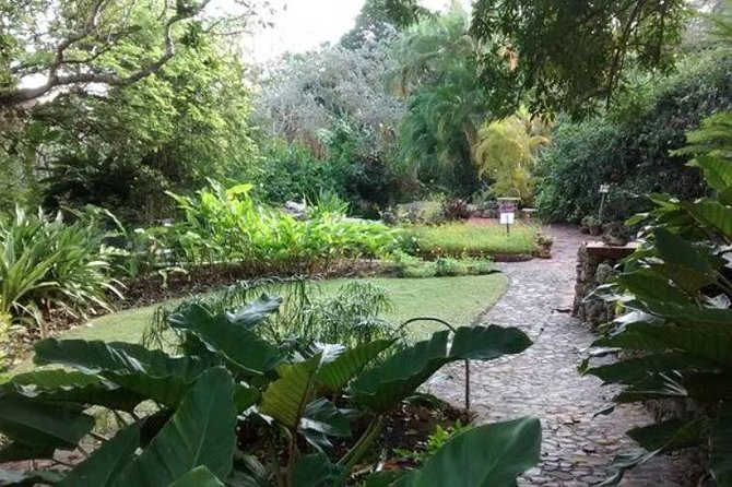 Garden Delight Full-Day Tour in Barbados - Four Barbados gardens, three very different moods