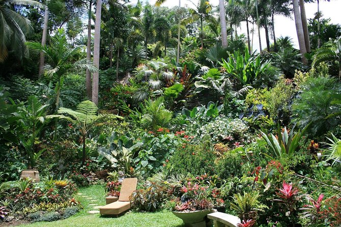 Garden Delight Full-Day Tour in Barbados - Flower Forest in 45 minutes