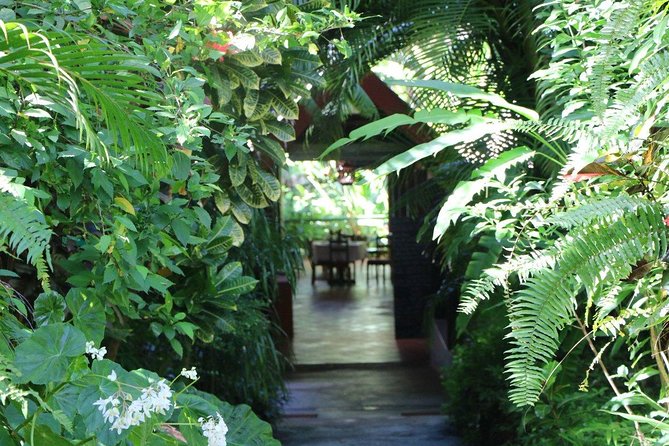 Garden Delight Full-Day Tour in Barbados - Tropical Garden Barbados or Orchid World?