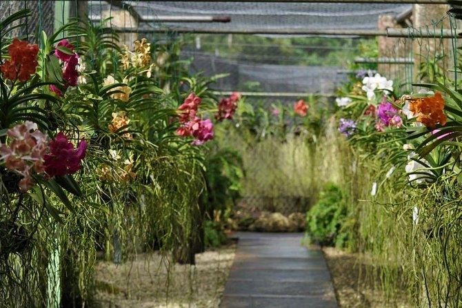 Garden Delight Full-Day Tour in Barbados - Cindy and the value of a small group
