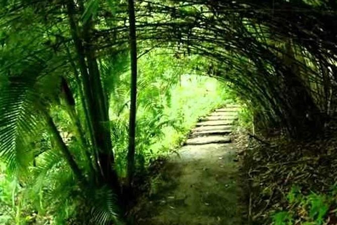 Garden Delight Full-Day Tour in Barbados - Andromeda Botanic Gardens with an hour to wander