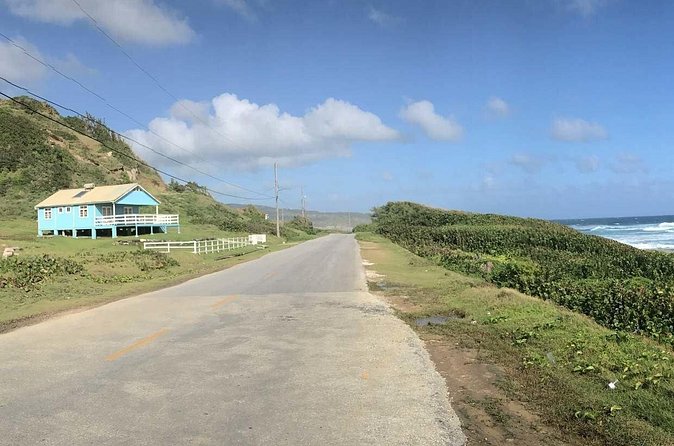 Gardens & Abbey - Who should book this Barbados morning?
