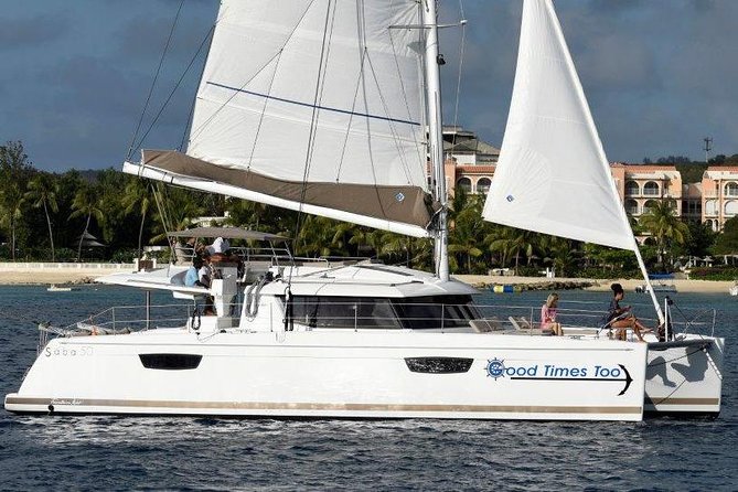 Good Times Too Premium Catamaran Lunch Cruise - Why the turtle stop is the heart of the morning