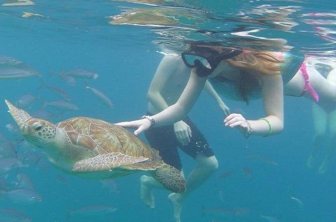 Good Times Too Premium Catamaran Lunch Cruise - What happens at the water stops