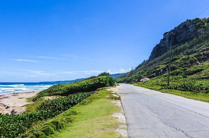 Half-Day Barbados Caves and Critters Tour with Pick Up - Should you book the Caves and Critters tour?