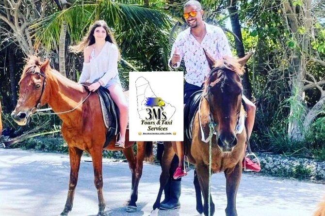 Half-Day Barbados Private Guided Customized Island Tours - Bathsheba, the Atlantic coast, and the best views