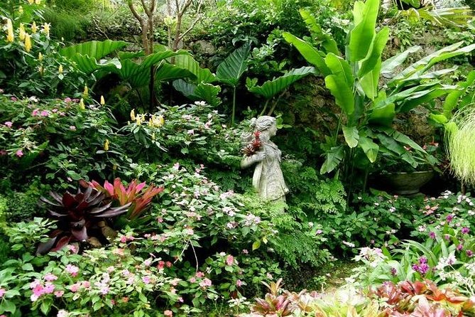 Half-Day Barbados Tour Harrisons Cave Hunte's Garden and Bathsheba - Three sides of Barbados in one morning