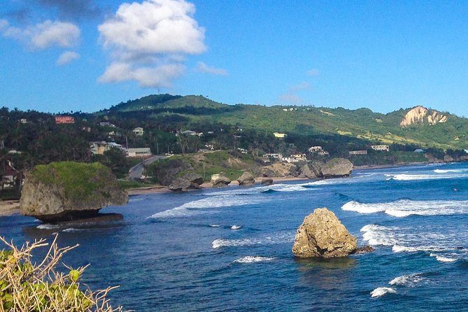 Half-Day Barbados Tour Harrisons Cave Hunte's Garden and Bathsheba - Is $140 a fair price?