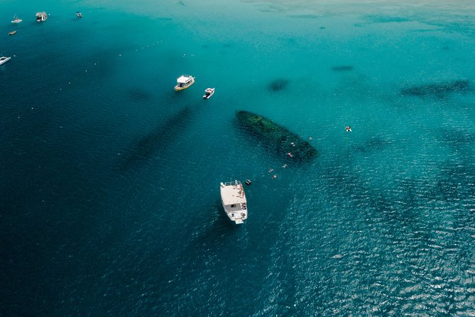 Harbour Lights-Chair &Turtle Shipwreck Snorkel Tour(10:30-1:30pm) - Turtle sightings depend on luck and conditions
