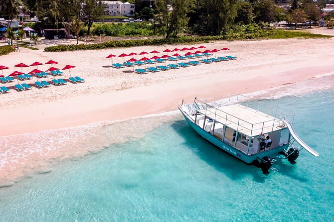 Harbour Lights-Chair &Turtle Shipwreck Snorkel Tour(10:30-1:30pm) - Your reserved chair is the real value