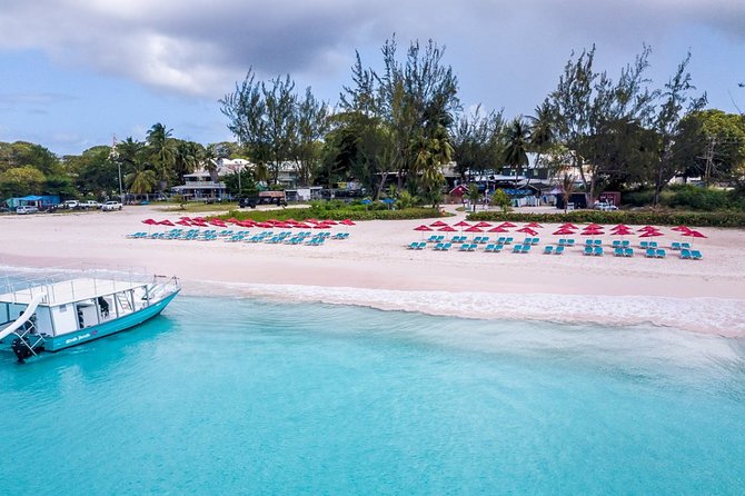 Harbour Lights-Chair &Turtle Shipwreck Snorkel Tour(10:30-1:30pm) - Getting there from Bridgetown and the cruise port