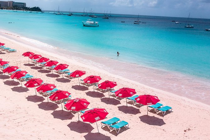 Harbour Lights-Chair &Turtle Shipwreck Snorkel Tour(10:30-1:30pm) - Booking, weather, and practical details