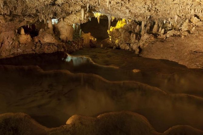 Harrison's Cave Tour from Bridgetown - Pickup from Bridgetown and the cruise terminal