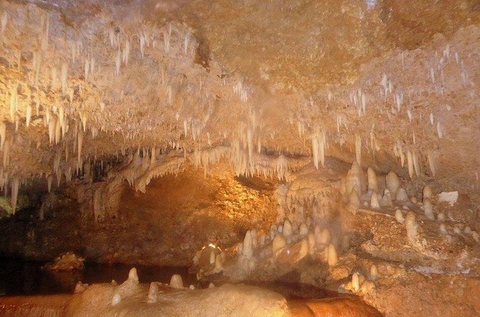 Harrison's Cave Tour from Bridgetown - Who will enjoy this cave tour most
