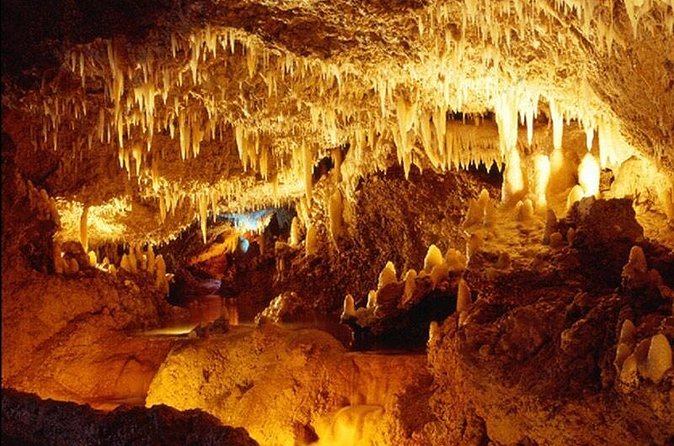 Harrison's Cave Tour from Bridgetown - Practical details that affect your morning