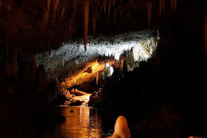 Harrison's Cave Tour in Barbados - A comfortable ride from the hotel