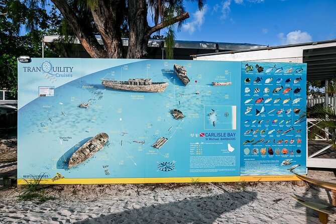 Hotel Beach Day at Savvy with Shuttle Transfer - Is $20 good value?