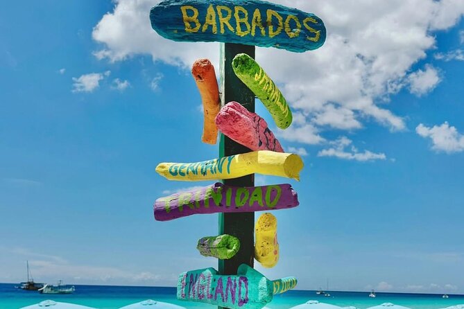 Hotel Beach Day at Savvy with Shuttle Transfer - Getting there from Holetown, Oistins, and Bridgetown