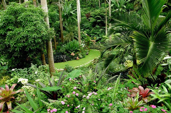 Hunte's Garden and St Nicholas Abbey small group Barbados tour - Lunch is useful, though expectations should stay modest