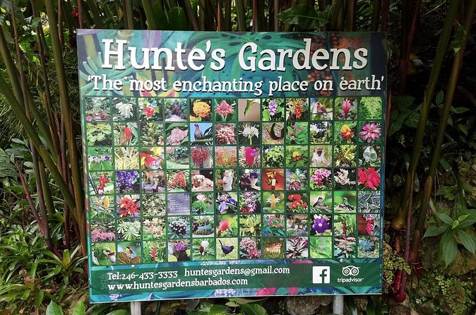Hunte's Gardens - Two hours to wander, read signs, and stop often