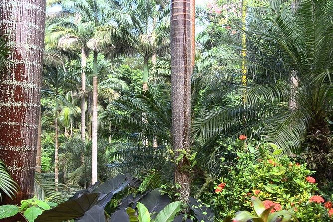 Hunte's Gardens - Why the music and seating change the pace