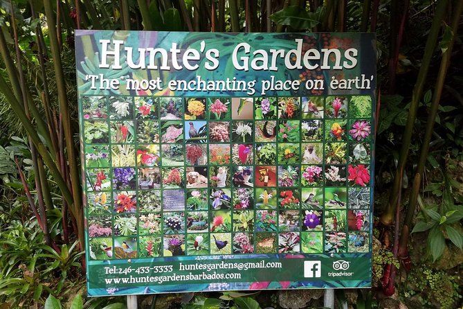 Hunte's Gardens - Who will enjoy this excursion most