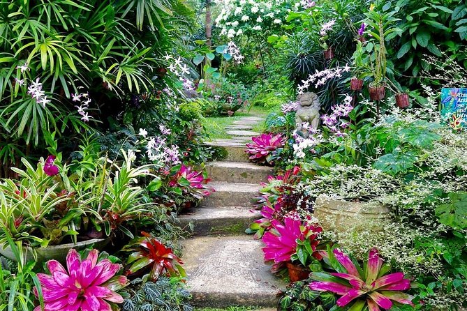 Hunte's Gardens - Entering Anthony Hunte’s unusual garden